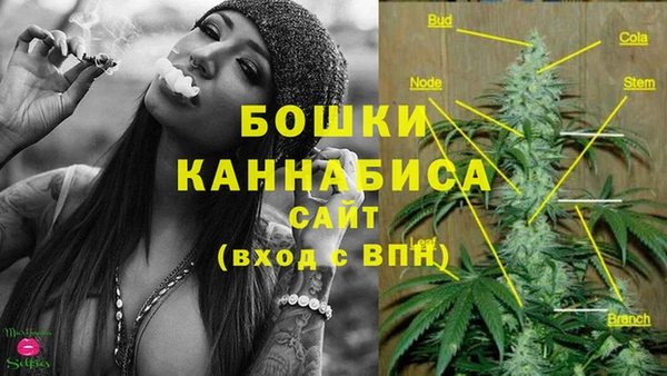 каннабис Беломорск