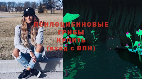 амф Белоозёрский