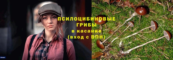 каннабис Беломорск