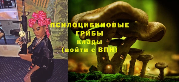 каннабис Беломорск