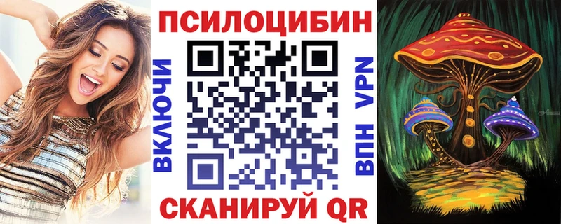 Псилоцибиновые грибы мицелий наркотики Курильск